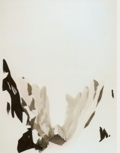 Tinta-da-china e acrílico sobre papel, 160x120 cm 