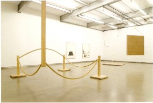 Madeira e corda, altura variável 44 x 344 cm  